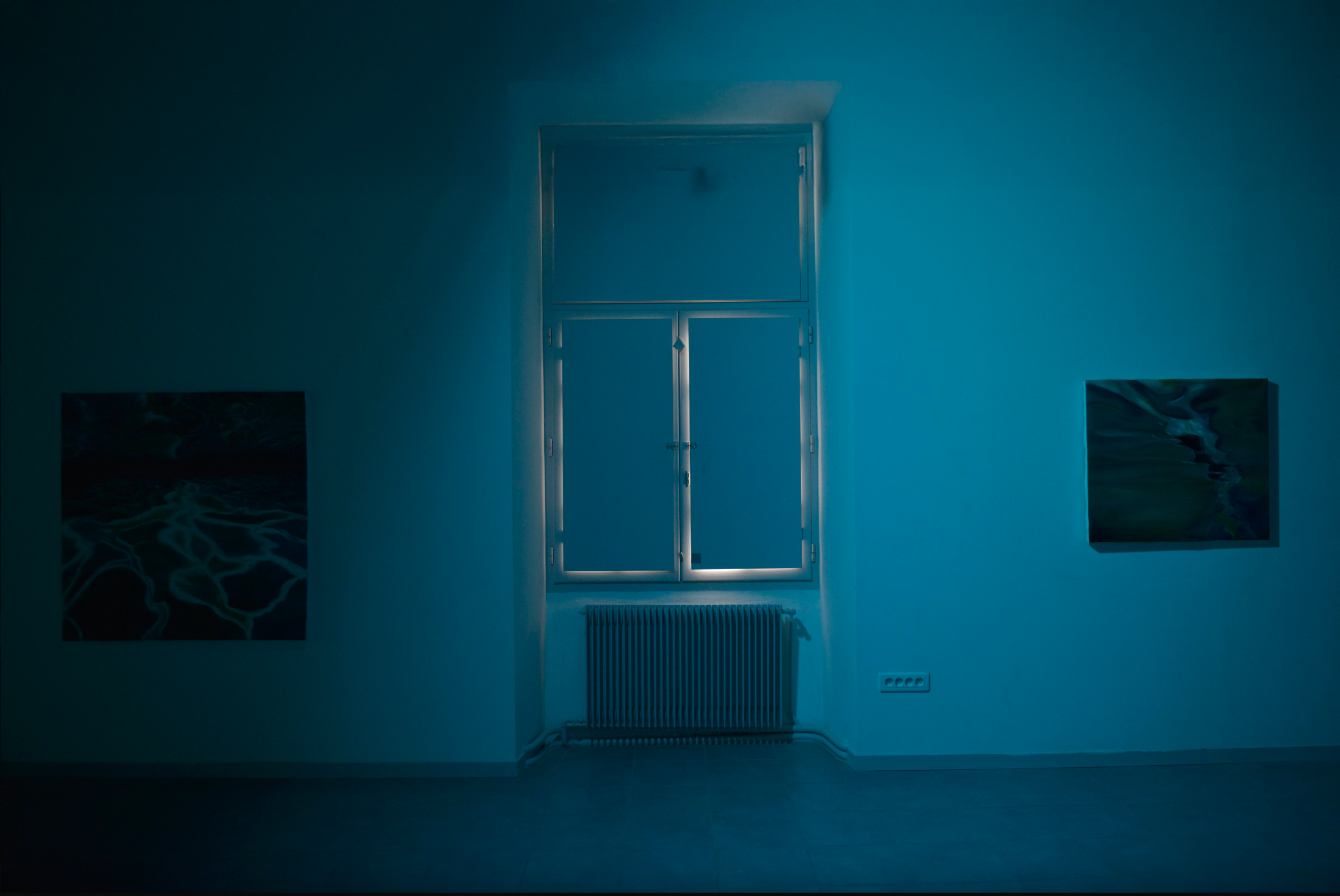 photo de l'exposition "ce qui reste" DNA de Solène Goget à Bourges, de 2022, vue intérieur d'expo.