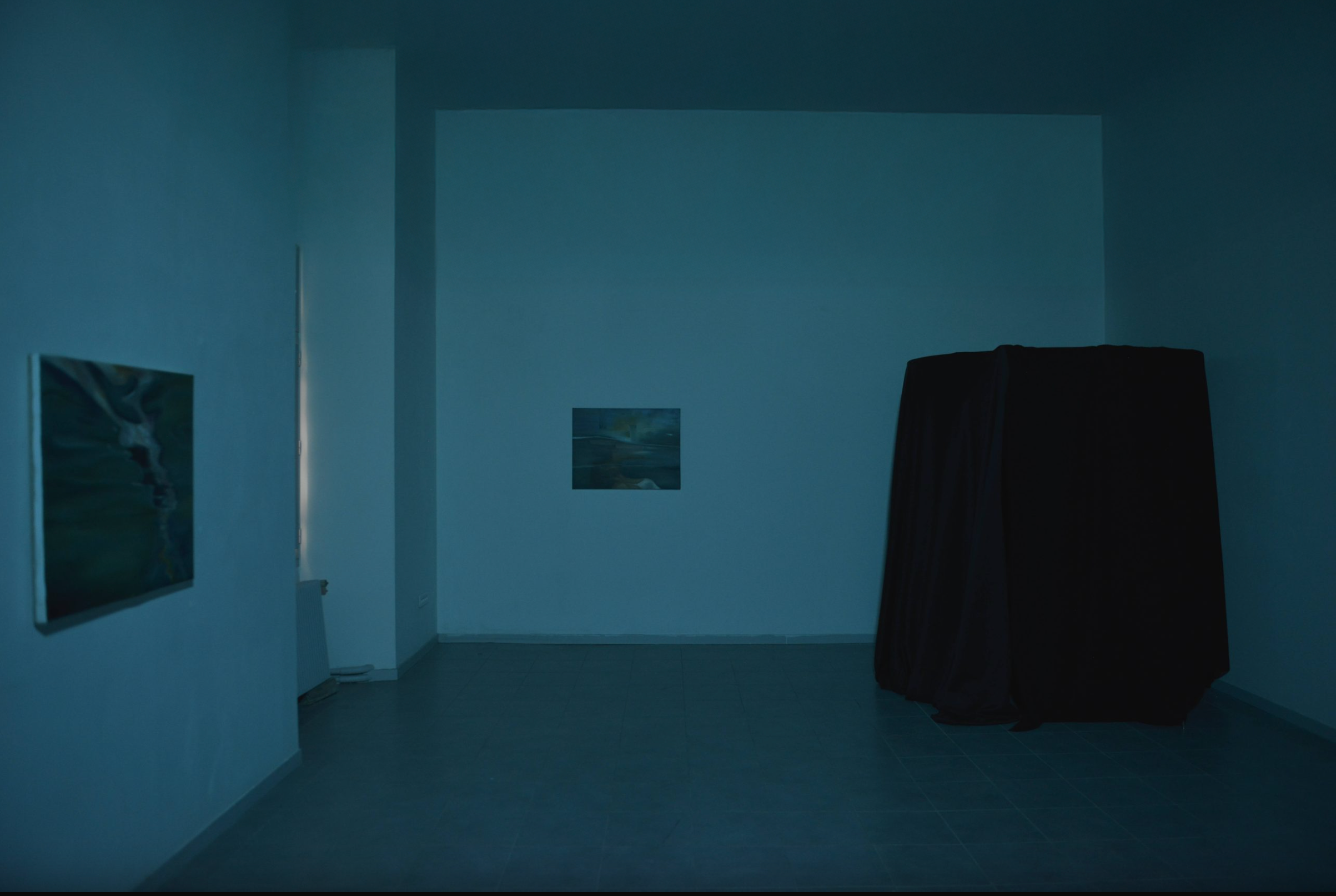 photo de l'exposition "ce qui reste" DNA de Solène Goget à Bourges, de 2022, vue intérieur d'expo.