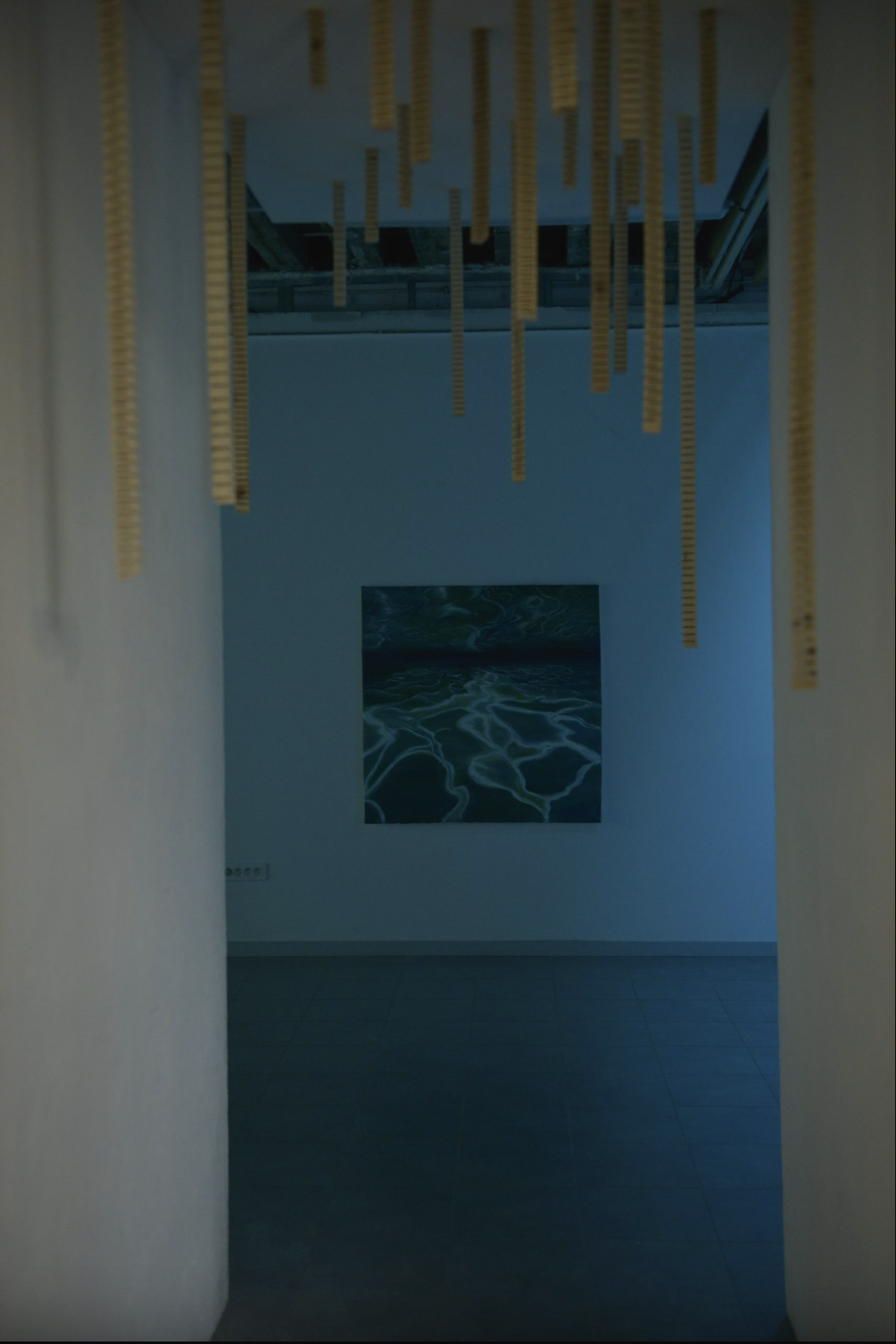 photo de l'exposition "ce qui reste" DNA de Solène Goget à Bourges, de 2022, vue intérieur d'expo.